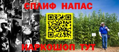 мяу мяу мука Кулебаки