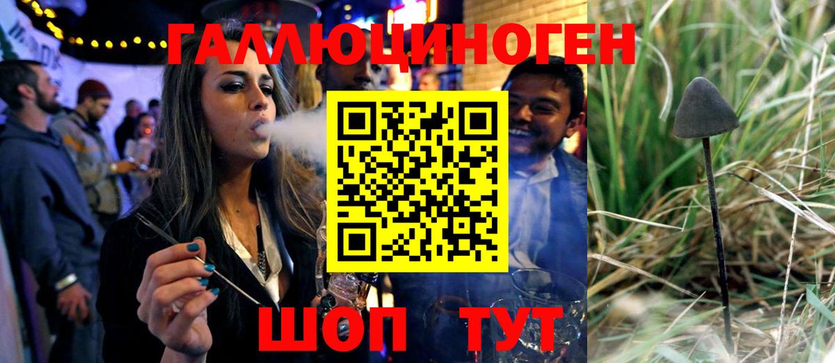 Галлюциногенные грибы Magic Shrooms  Вход с VPN  Усть-Джегута  Псилоцибиновые грибы MAGIC MUSHROOMS 